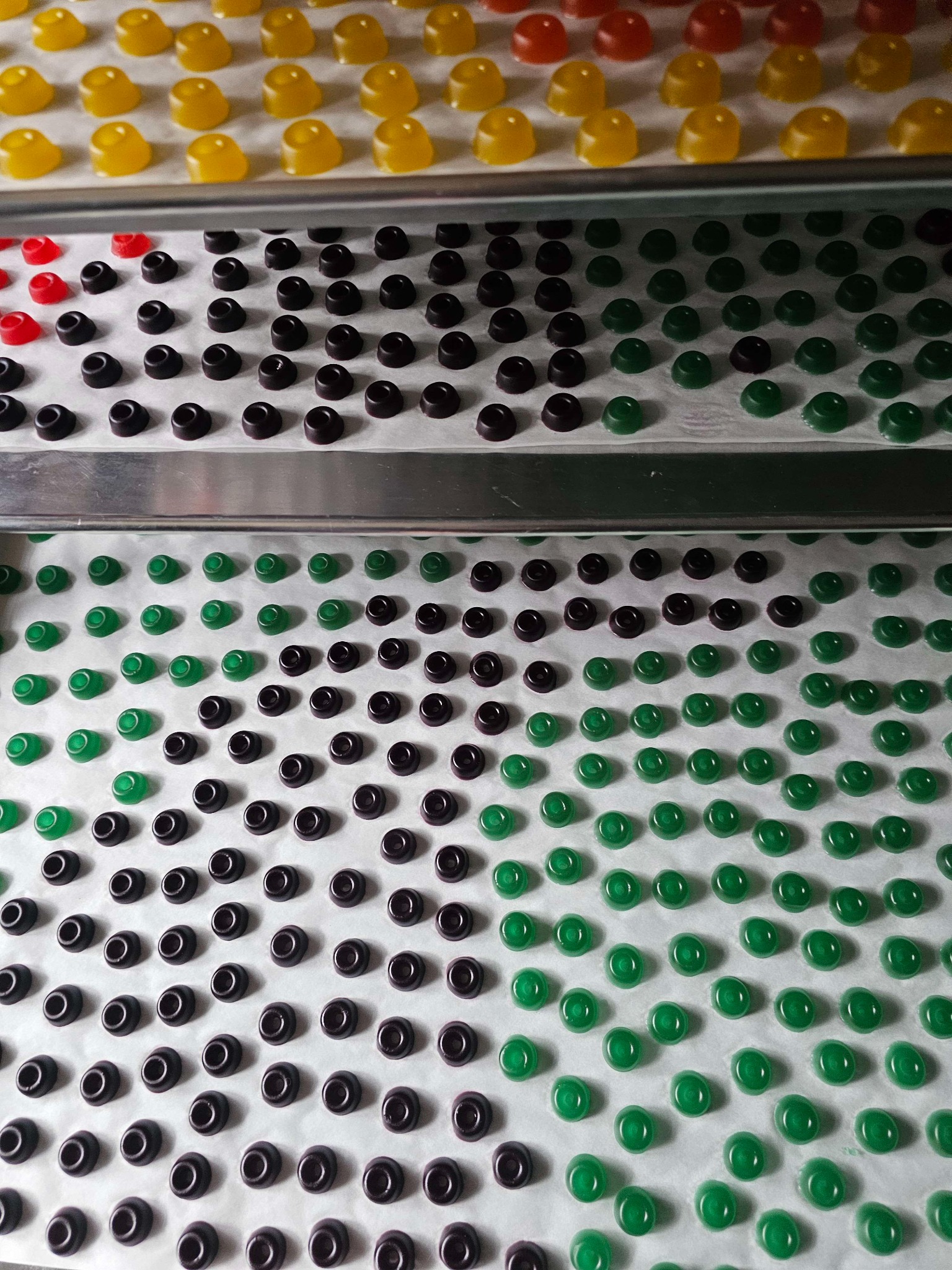 Rows of dark and green round gummies ready for packaging
