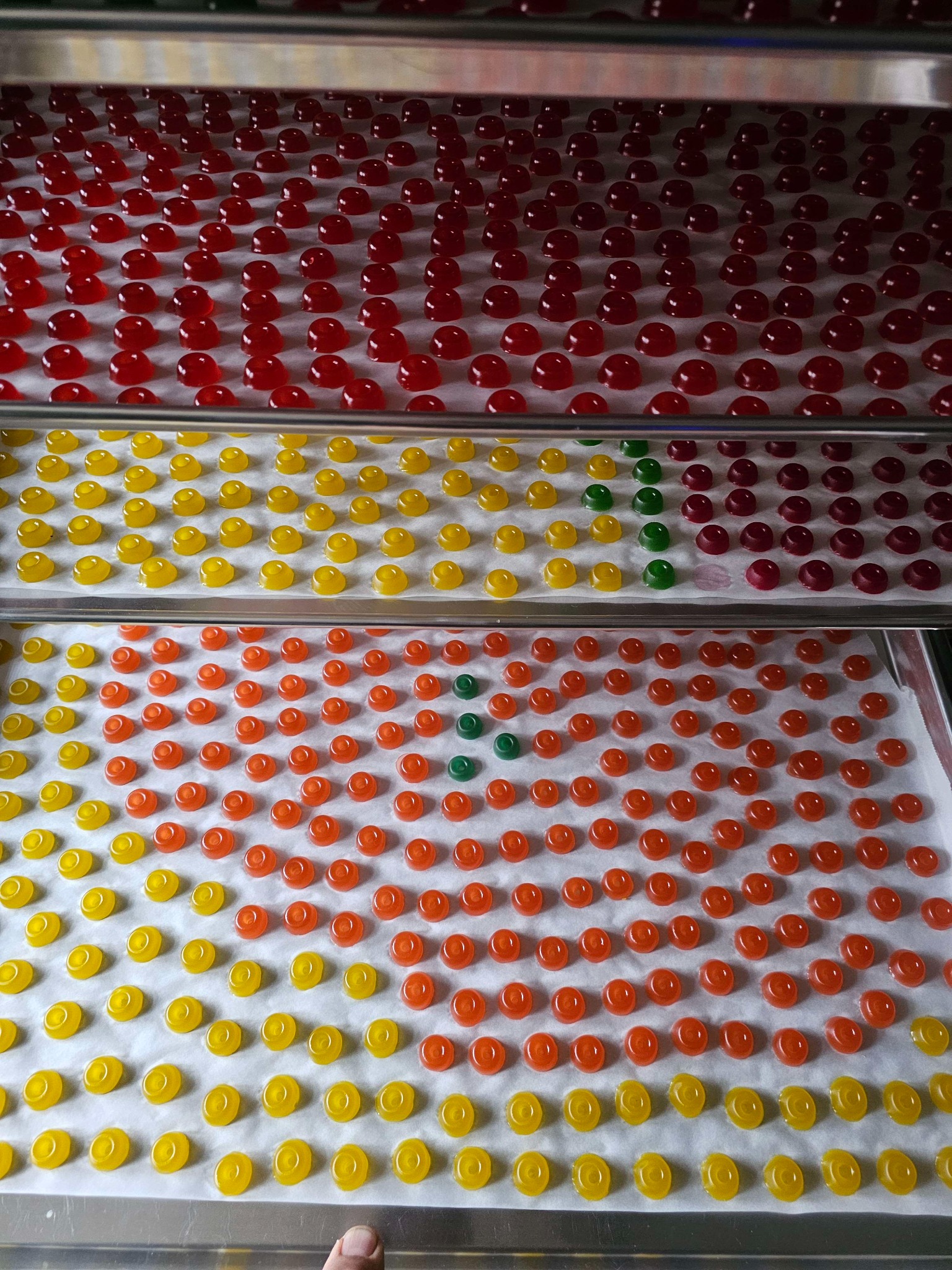 Layers of red, orange and yellow gummies on drying trays